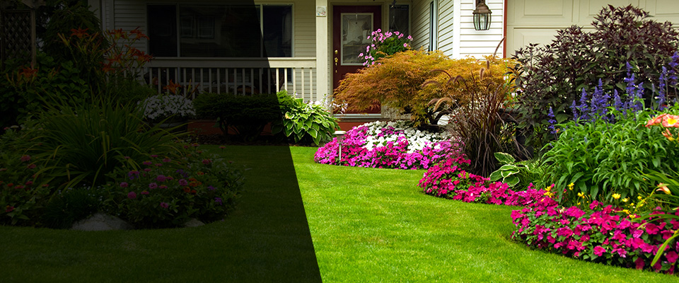 Coeburn Landscapers