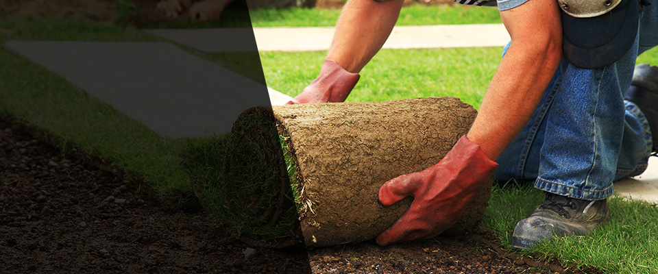 Coeburn Landscapers